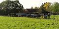 25ste Herfstwandeling van Armand en Judith op 23-10-2011 (42)
